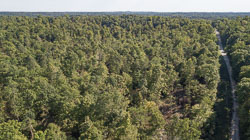 2: Drone Stills